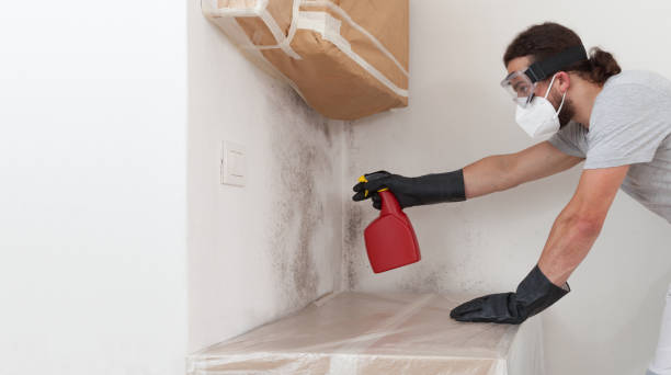 Professional Attic Mold Remediation technician working in Hamilton, MI